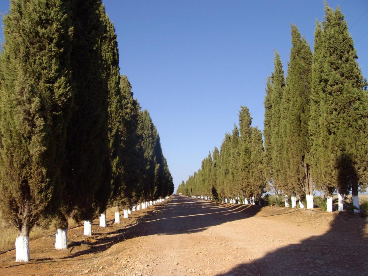 Humilladero Cortijo Ferradores المظهر الخارجي الصورة