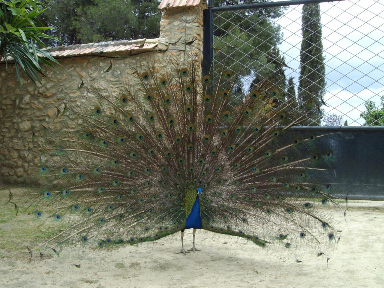 Humilladero Cortijo Ferradores المظهر الخارجي الصورة