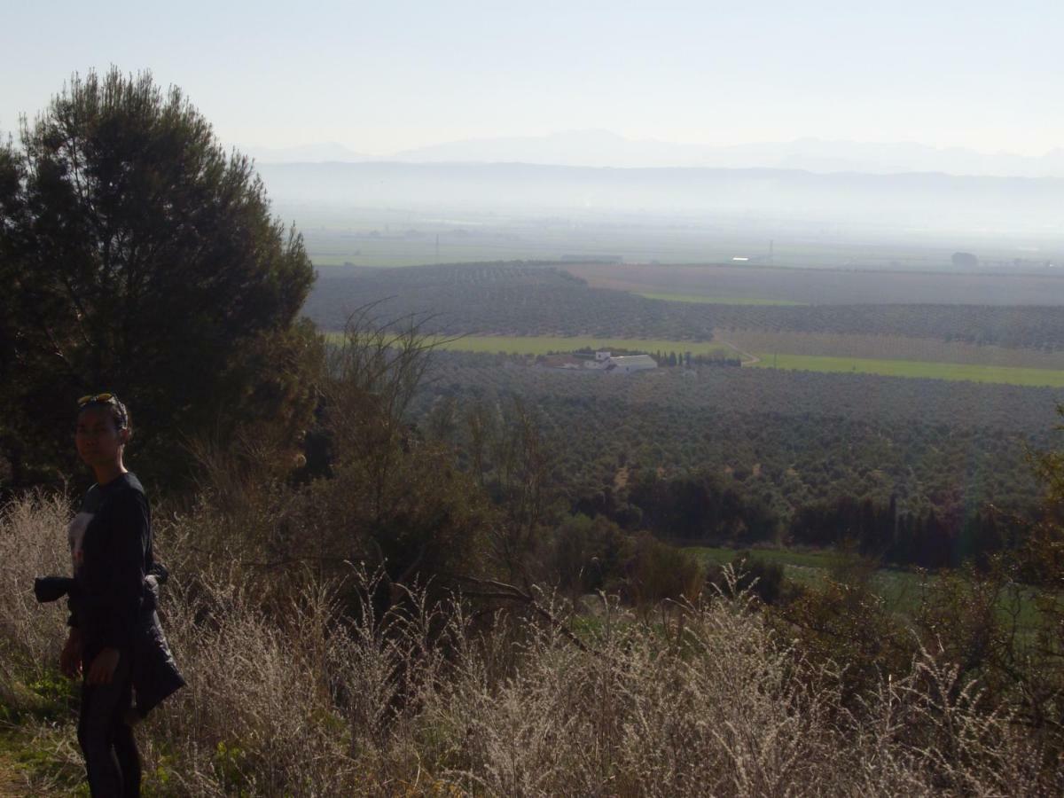 Humilladero Cortijo Ferradores المظهر الخارجي الصورة
