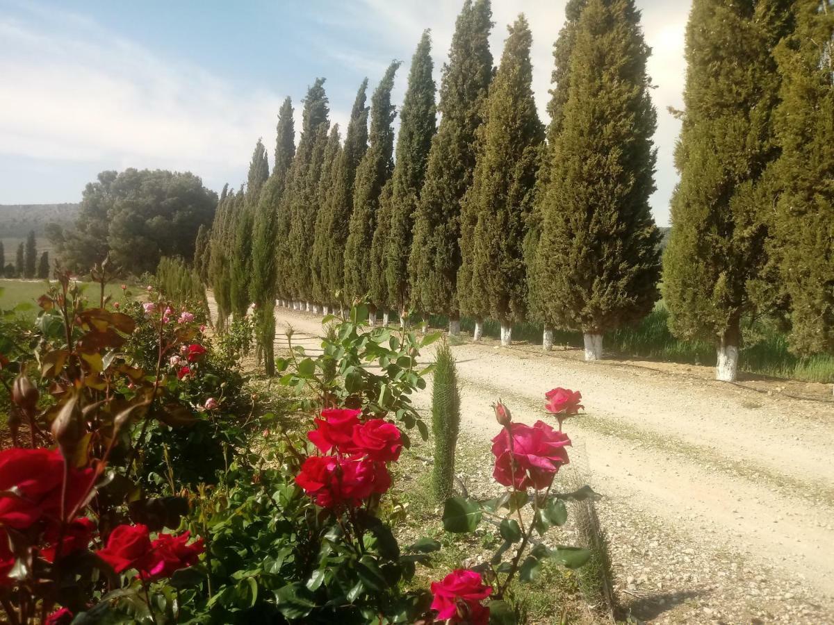 Humilladero Cortijo Ferradores المظهر الخارجي الصورة