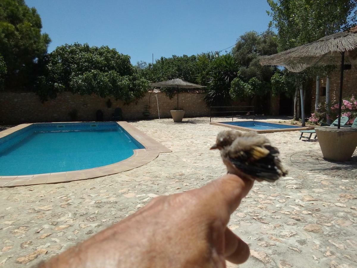 Humilladero Cortijo Ferradores المظهر الخارجي الصورة